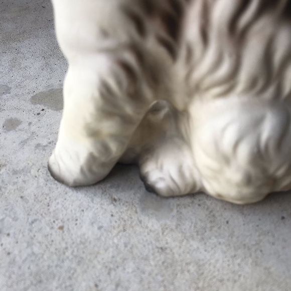 Vintage wire haired fox terrier - Picture 10 of 16